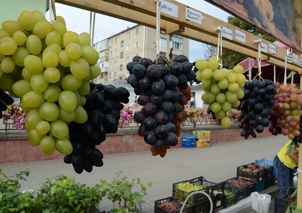 Тънкости при брането на десертното грозде