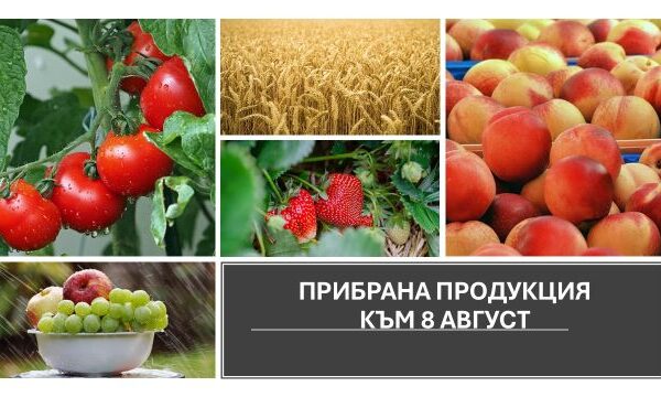 Оперативен анализ за прибраните земеделски култури