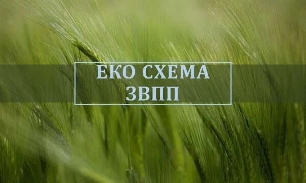 Важно! Документи за Еко схема ЗВПП