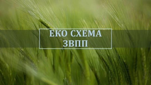 Важно! Документи за Еко схема ЗВПП