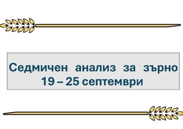 Седмичен анализ за зърно: 19 – 25 септември