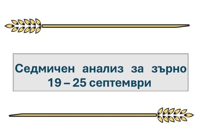 Седмичен анализ за зърно: 19 – 25 септември