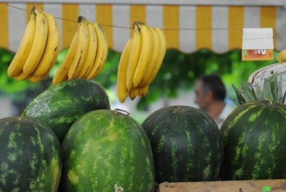 Месечен анализ на цените на едро на хранителни продукти, плодове и зеленчуци на стоковите тържища в България за месец септември 2024 г.