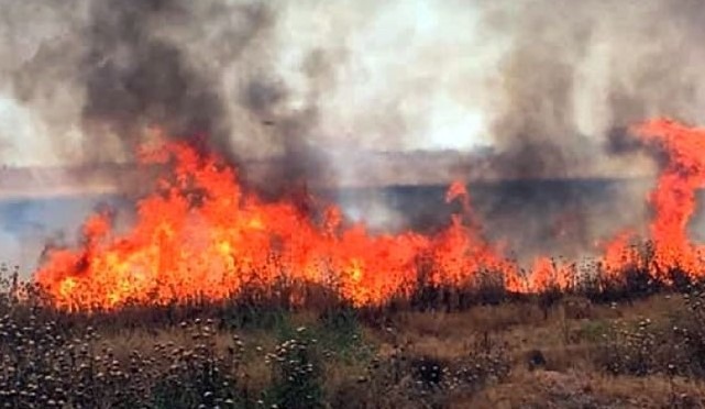 1,9 млн. лева са осигурени за компенсиране на земеделски стопани за щетите от пожарите през 2024 г.