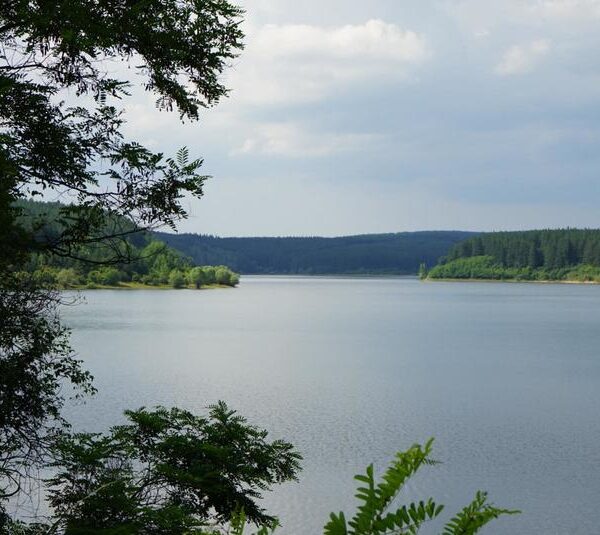 Нужни са спешни действия заради ограничените водни обеми в язовирите