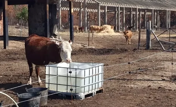 Селскостопански производители от цяла Европа се обявяват срещу предложеното споразумение с Меркосур