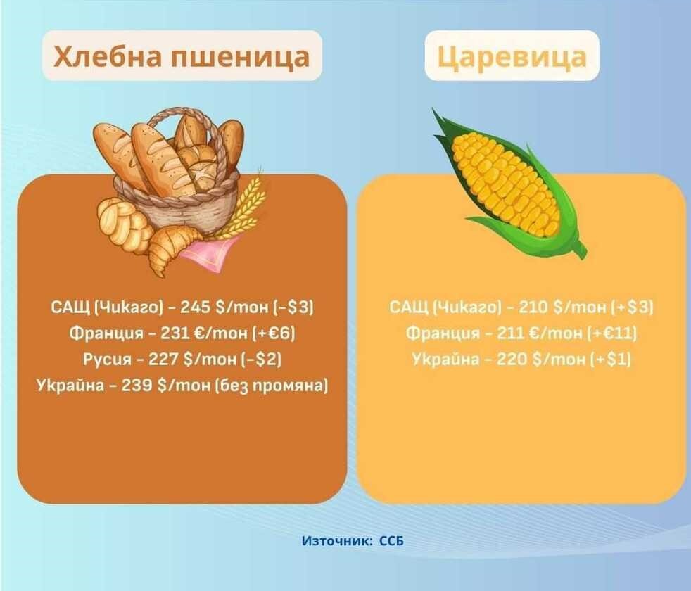 Цените на зърнените култури по световните борси се повишават през седмицата