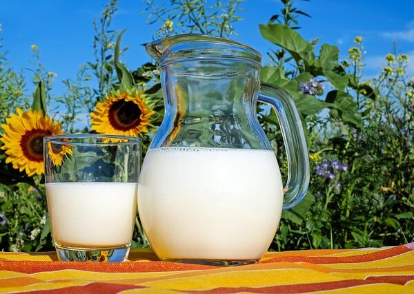 Канада отваря пазара си за млечни продукти от Нова Зеландия