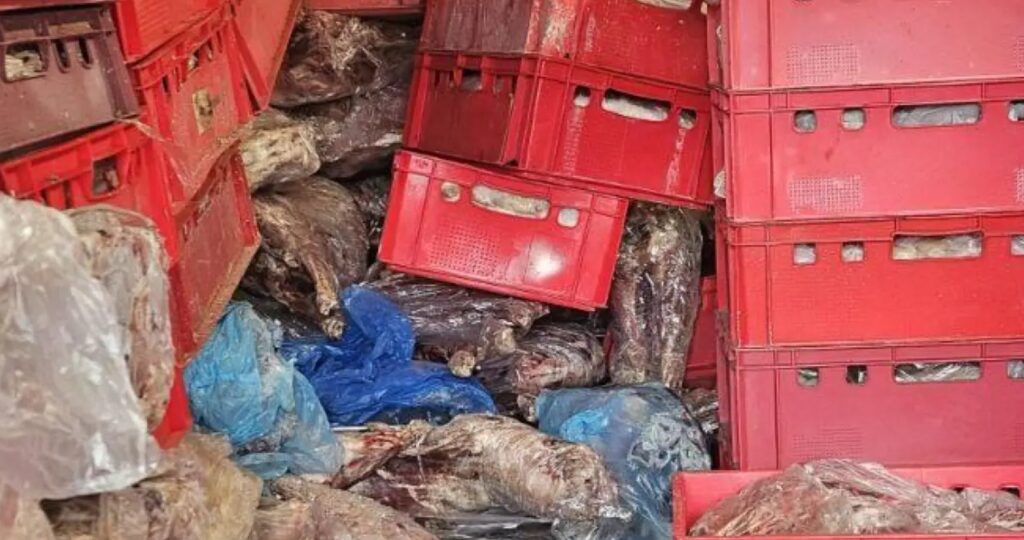 БАБХ и МЗХ с данни от акция „Чиста храна“ – какви нарушения са открити