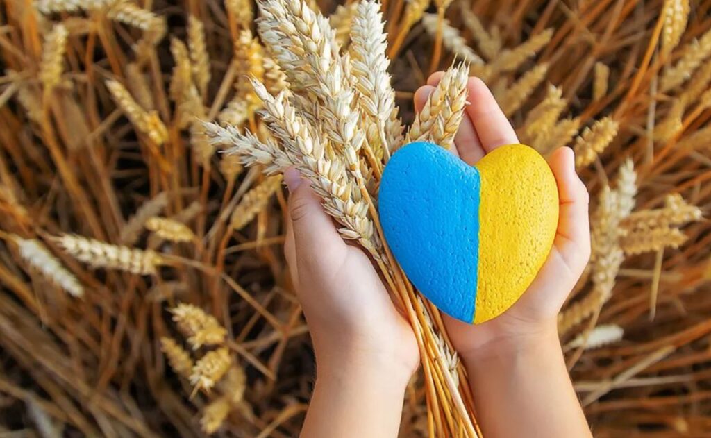 реколтата от зърно в Украйна 2025