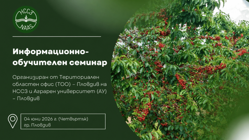 семинар