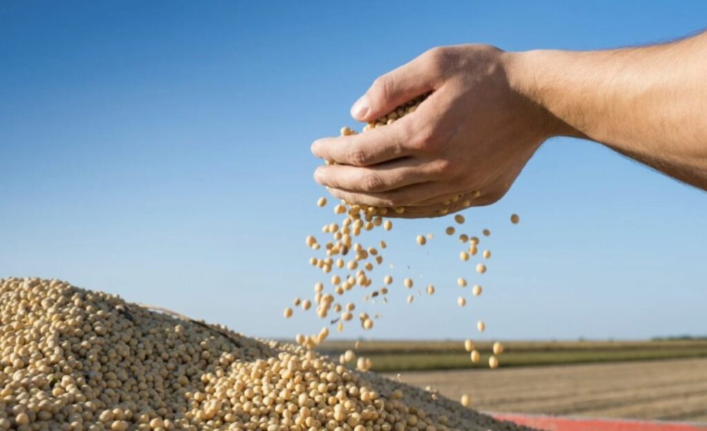 доклад USDA за соята