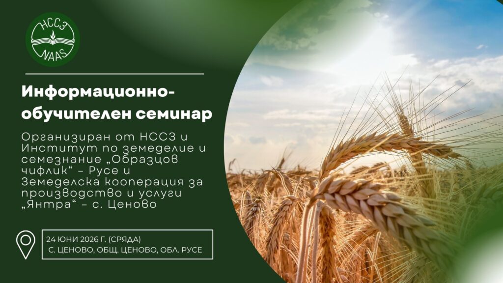 семинар