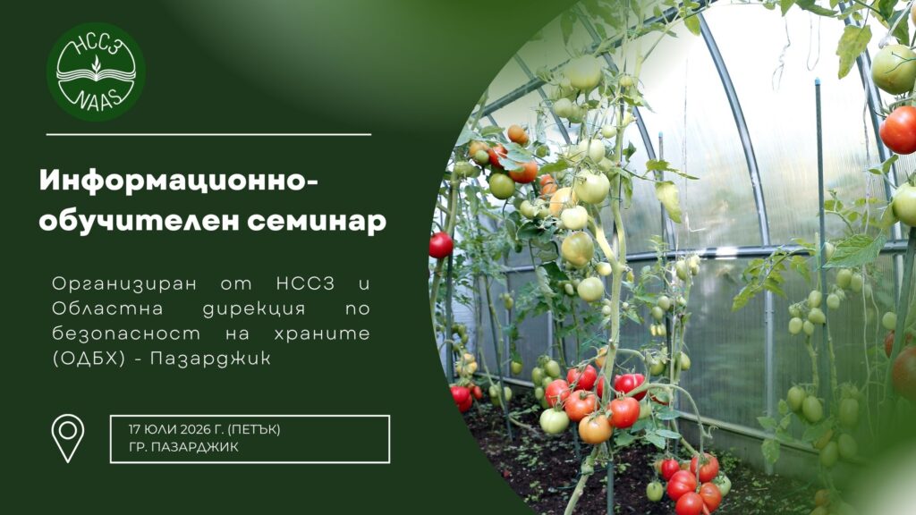 семинар