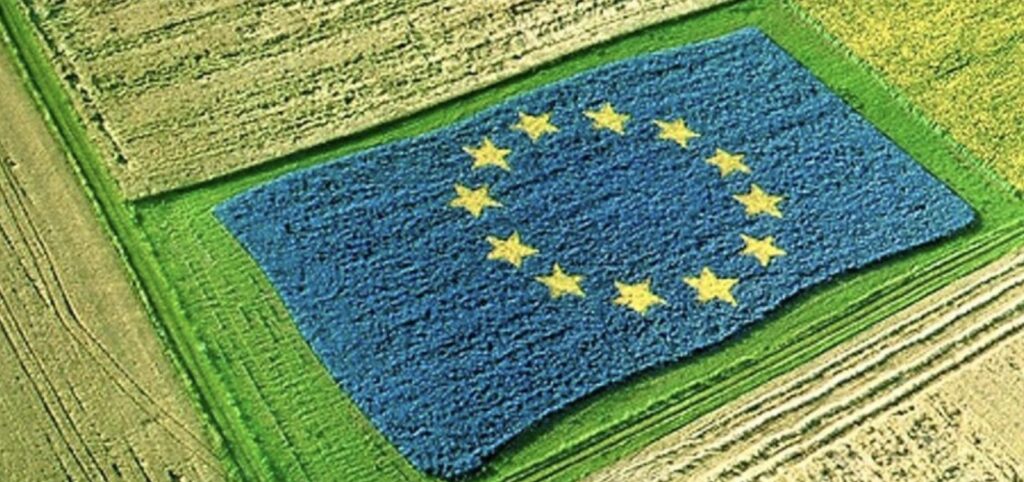 украинското земеделие и единният пазар на ЕС