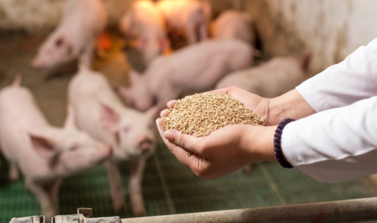 Швеция започна продажба на свинско месо от животни, хранени без соя