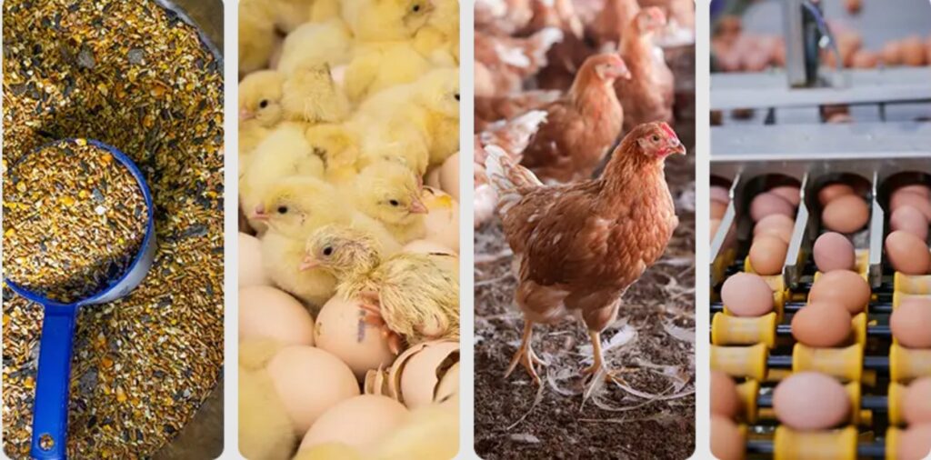Central Asia Poultry Expo 2027